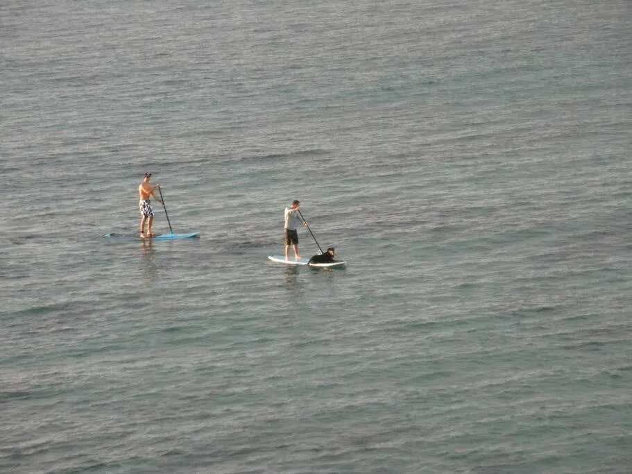 Sandy Beach Apartment Rincon